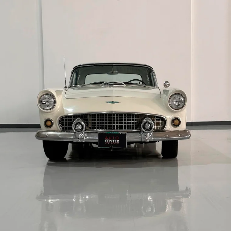 Ford Thunderbird 1955 - Vista 2