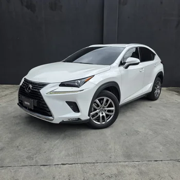 Lexus NX300 2020