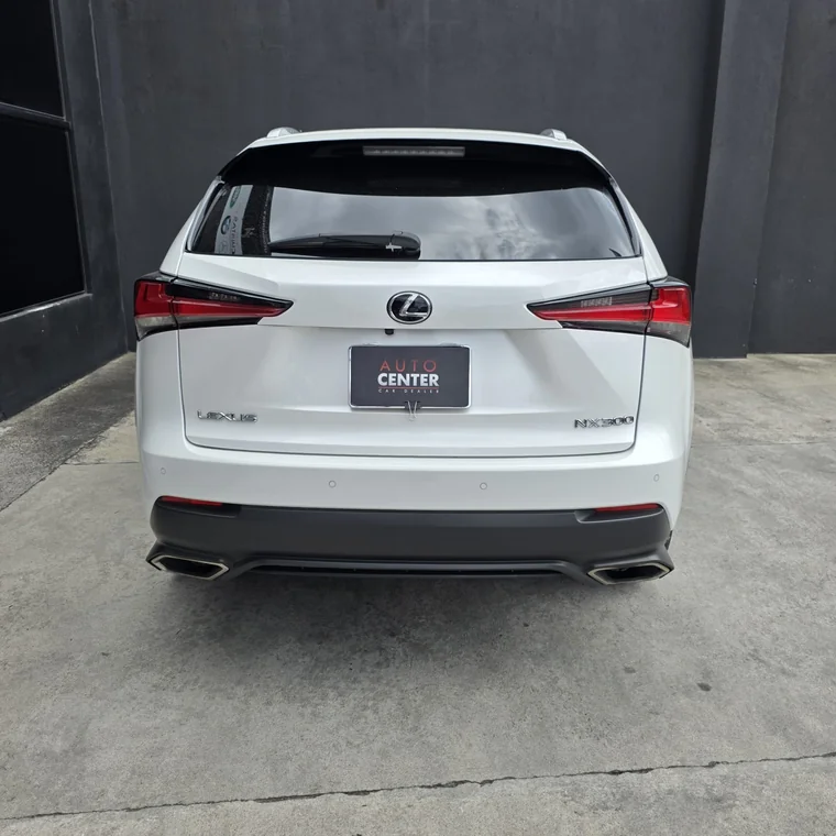 Lexus NX300 2020 - Vista 5