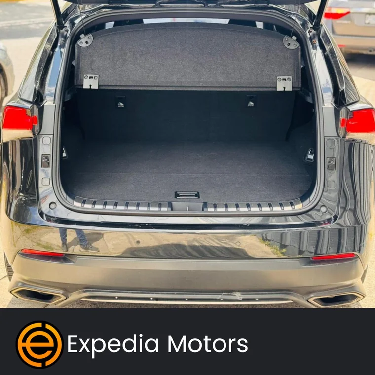 Lexus 300 2019 - Vista 5