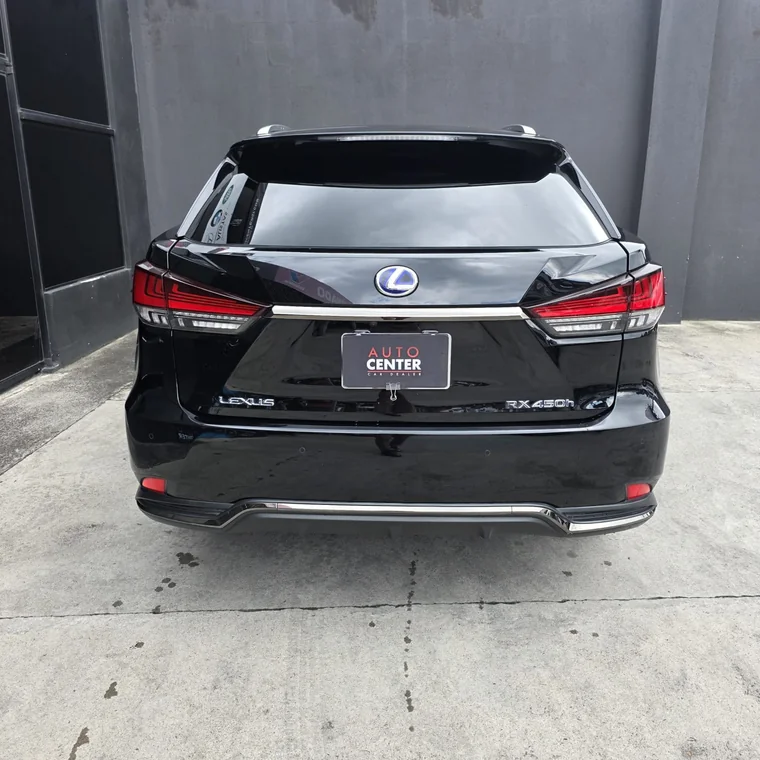 Lexus RX 2023 - Vista 5