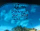 Thumbnail 27