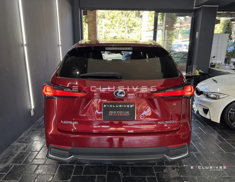 Lexus NX 2022 - Vista 5