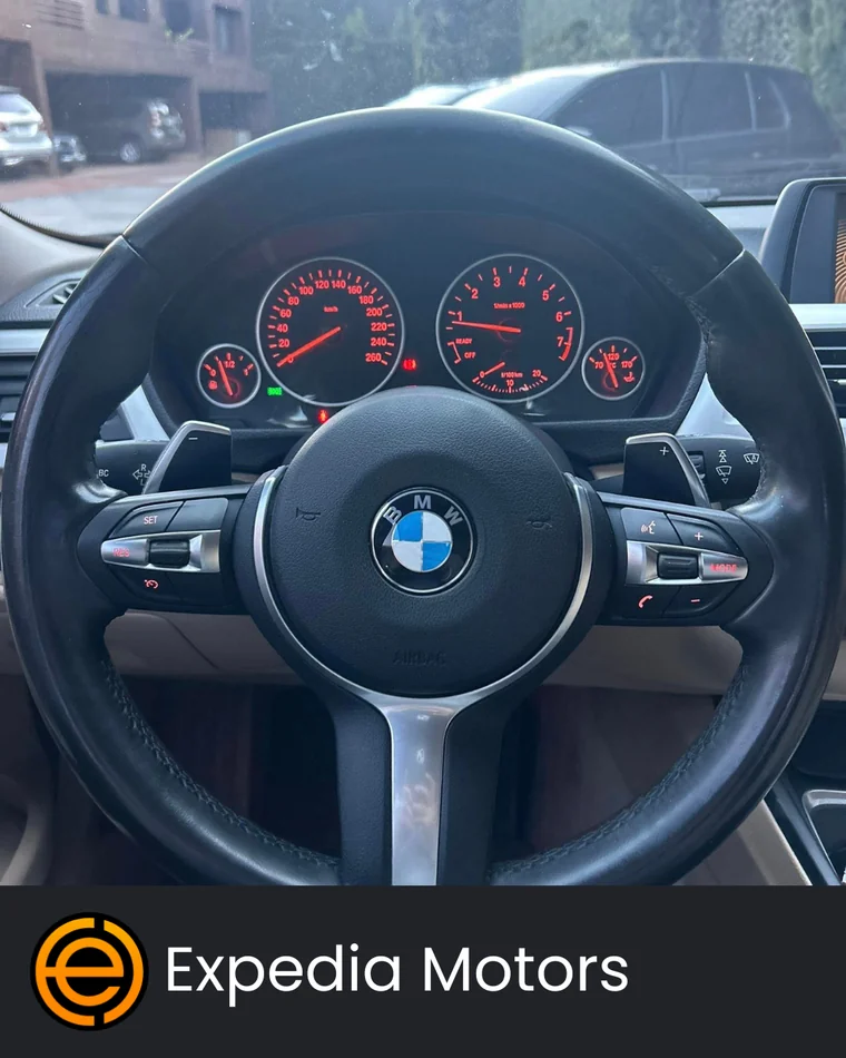 BMW 316i 2013 - Vista 5