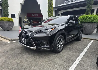 Lexus NX 2020