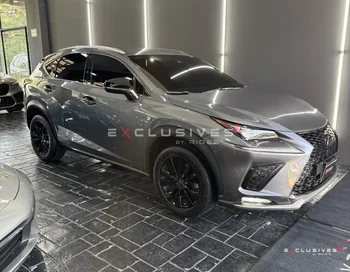 Lexus NX300 2021