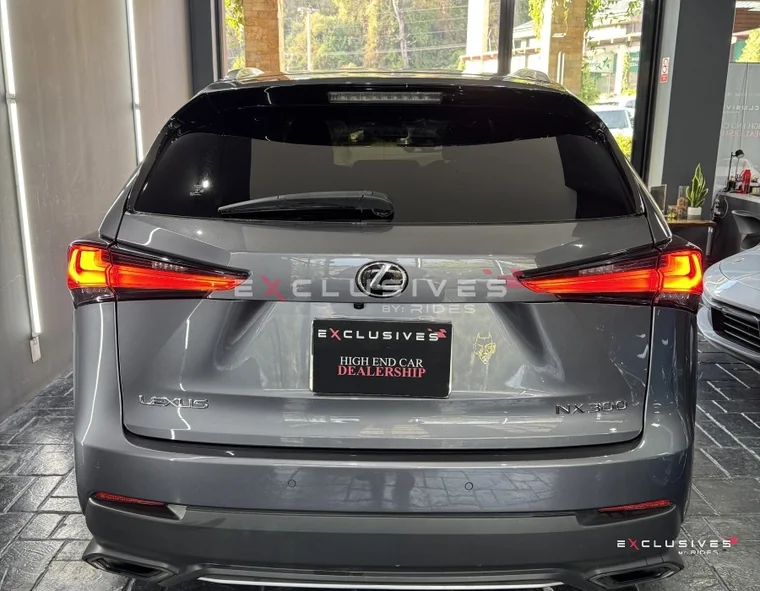 Lexus NX300 2021 - Vista 5